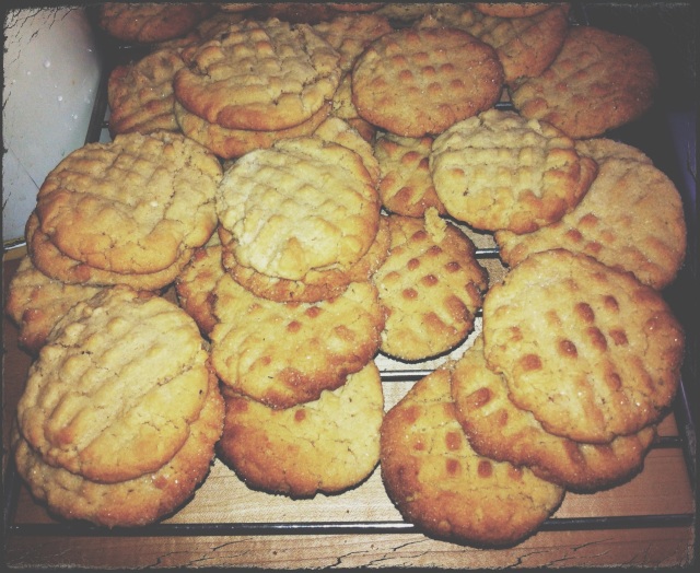 Salted Peanut Butter Cookies | Blue Owl Treats